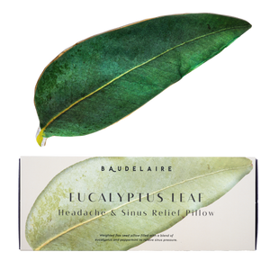 Eucalyptus Leaf Pillow