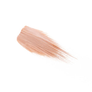 Veil Cosmetics - Complexion Fix Light - Pink-Neutral-Gold