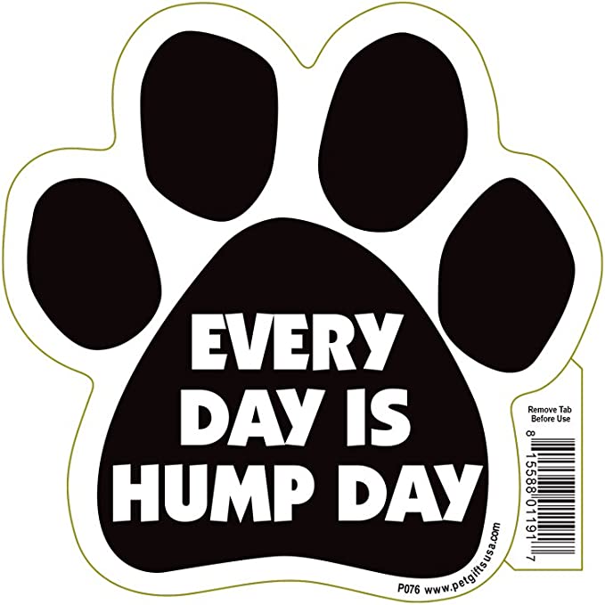 Quotable Car Magnet- Everyday is Hump Day